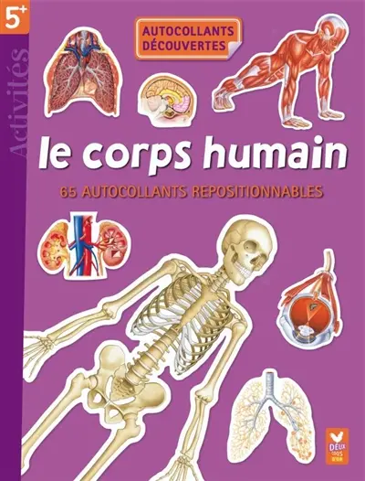 Le corps humain : 65 autocollants repositionnables