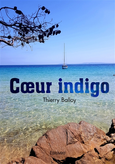 Cœur indigo
