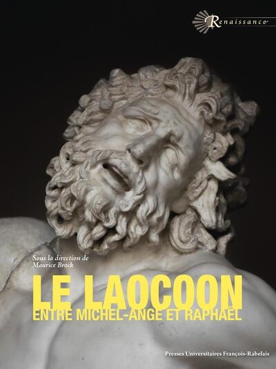 Le Laocoon, entre Michel-Ange et Raphaël : un ressort de l'émulation