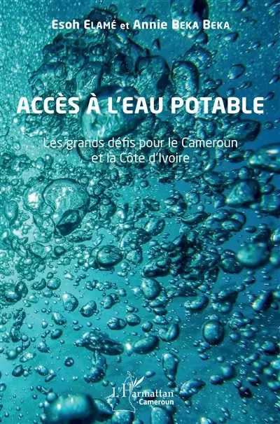Accès à l'eau potable : les grands défis pour le Cameroun et la Côte d'Ivoire
