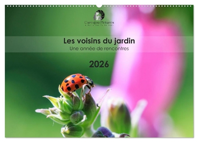 Les voisins du jardin : Une année de rencontres (Calendrier mural 2026 DIN A2 vertical), CALVENDO calendrier mensuel : Un calendrier tendre et coloré qui met en lumière, mois après mois, la vie secrète et fascinante des animaux de nos jardins.