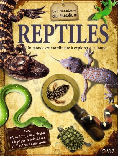 Reptiles : un monde extraordinaire à explorer à la loupe