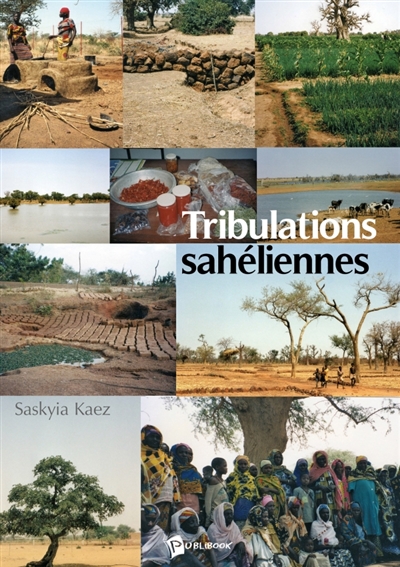 Tribulations sahéliennes