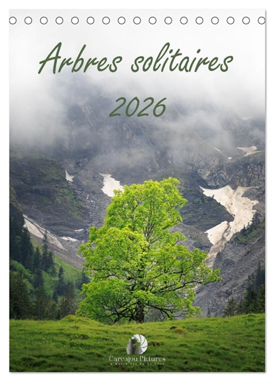 Arbres solitaires (Calendrier de bureau 2026 DIN A5 horizontal), CALVENDO calendrier mensuel : Un hommage poétique à la majesté et à la force tranquille des arbres qui se dressent seuls, témoins intemporels de la nature et des saisons.
