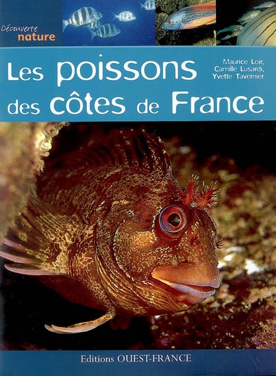 Les poissons des côtes de France