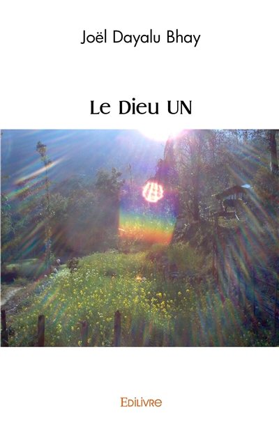 Le dieu un