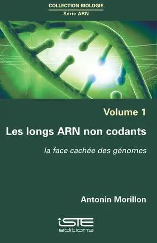 Les longs ARN non codants : la face cachée des génomes