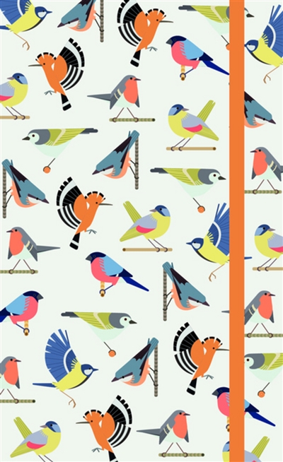 Petits oiseaux : agenda 2019