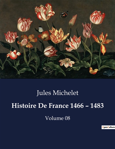 Histoire De France 1466 – 1483 : Volume 08