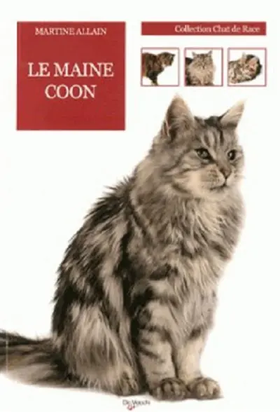 Le chat Maine coon