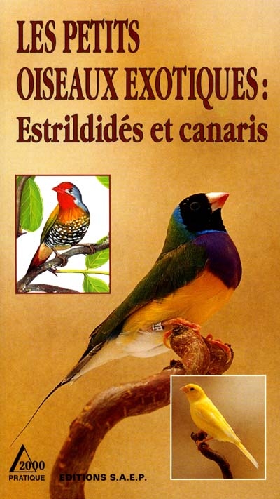 Les petits oiseaux exotiques : estrildidés et canaris