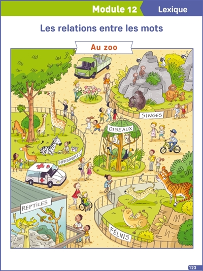 Français explicite CE1, cycle 2 : posters