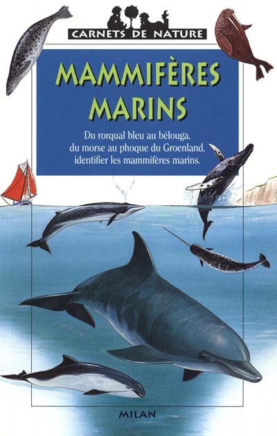 Mammifères marins