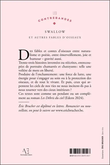 Swallow : Le Grand voyage