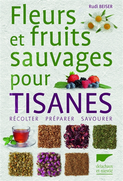 Fleurs et fruits sauvages pour tisanes : récolter, préparer, savourer