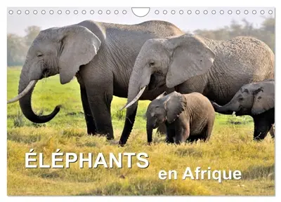 Eléphants en Afrique (Calendrier mural 2026 DIN A4 vertical), CALVENDO calendrier mensuel : Les éléphants d'Afrique sont imposants et puissants à la fois, mais parfois aussi affectueux et attentionnés.