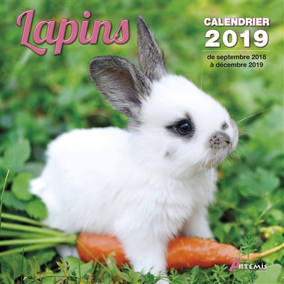 Lapins : calendrier 2019 :...