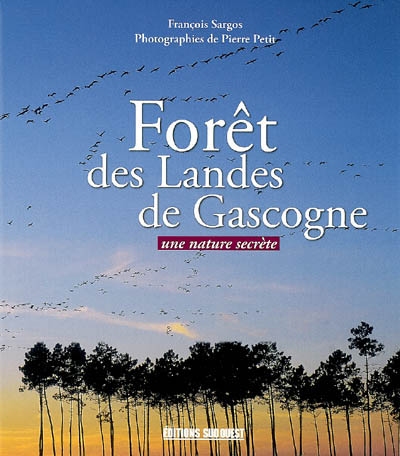 Forêt des Landes de Gascogne : une nature secrète