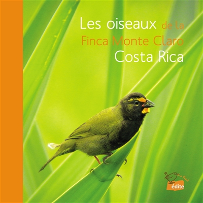 Les oiseaux de la Finca...