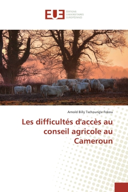 Les difficultés d'accès au...