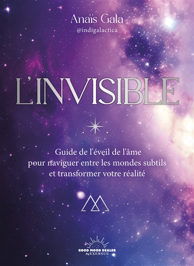 L'invisible : guide de...