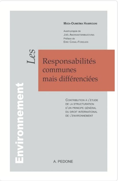 Les responsabilités communes mais différenciées : contribution à l'étude de la structuration d'un principe général du droit international de l'environnement