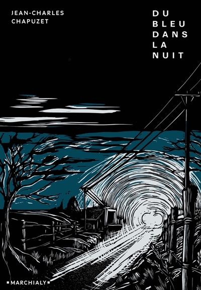Du bleu dans la nuit :...