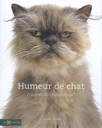 Humeur de chat : adoptez la chatattitude
