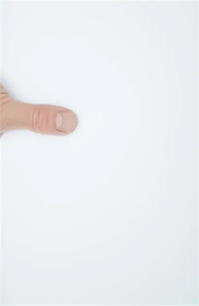 Benoît Félix Bernard Gilbert, Quatuor