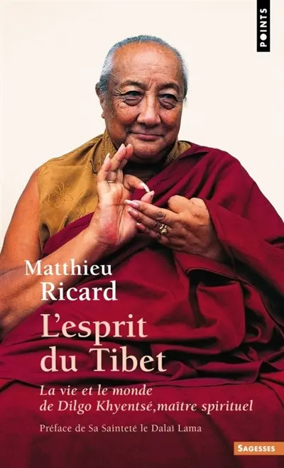 L'esprit du Tibet : la vie et le monde de Dilgo Khyentsé, maître spirituel