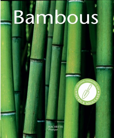 Bambous : les conseils d'un spécialiste pour l'achat, l'entretien et la multiplication