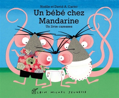 Un bébé chez Mandarine : un livre caresses