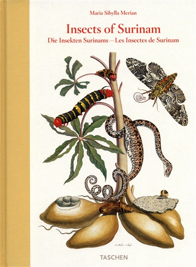 Insects of Surinam. Die Insekten Surinams. Les insectes de Surinam
