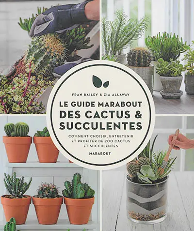 Guide Marabout des cactus et succulentes : comment choisir, entretenir et profiter de 200 cactus et succulentes