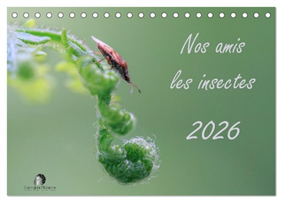 Nos amis les insectes (Calendrier de bureau 2026 DIN A5 vertical), CALVENDO calendrier mensuel : Un regard fascinant sur le monde miniature des insectes.