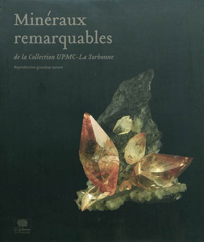 Minéraux remarquables : de la collection UPMC-La Sorbonne : reproduction grandeur nature. Remarkable minerals