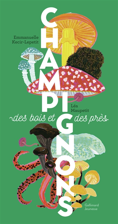 Champignons des bois et des...