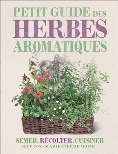 Petit guide des herbes aromatiques : semer, récolter, cuisiner