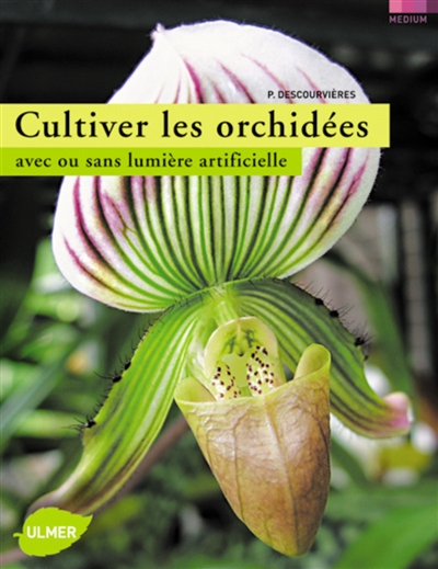 Cultiver les orchidées : avec ou sans lumière artificielle