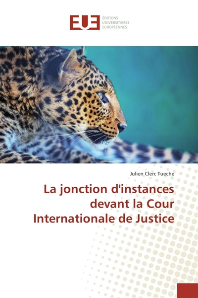 La jonction d'instances...