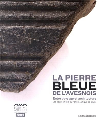 La pierre bleue de l'Avesnois : entre paysage et architecture, collections du Forum antique de Bavay