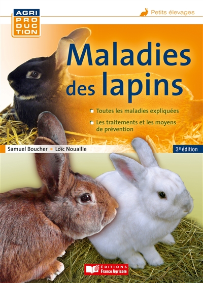 Maladies des lapins : toutes les maladies expliquées, les traitements et les moyens de prévention