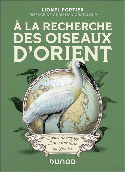 A la recherche des oiseaux...
