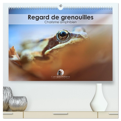 Regard de Grenouilles :...
