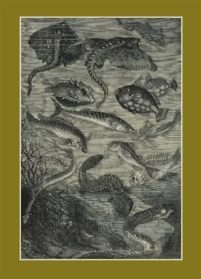 Carnet ligné : Vingt mille lieues sous les mers, Jules Verne, 1871 : Le Fleuve Noir