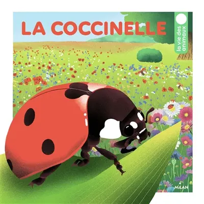 La coccinelle