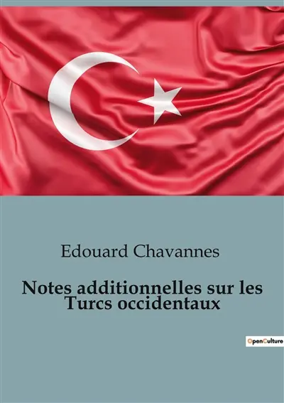 Notes additionnelles sur les Turcs occidentaux : Les Turcs occidentaux : entre conquêtes et alliances