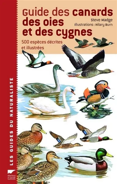 Guide des canards, des oies et des cygnes : 500 espèces décrites et illustrées