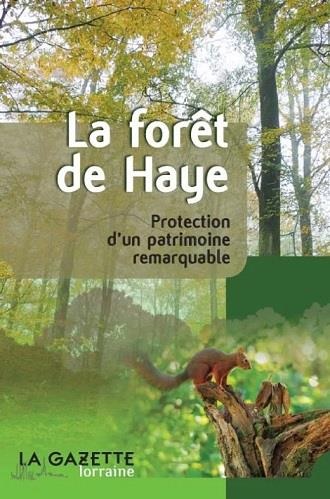 La forêt de Haye : protection d'un patrimoine remarquable