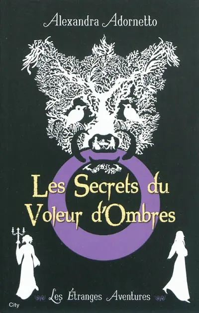 Les étranges aventures. Vol. 1. Les secrets du voleur d'ombres